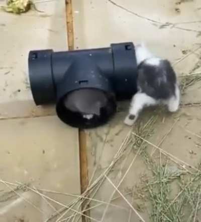 And they go round and round and round....