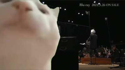 When the soundtrack starts playing