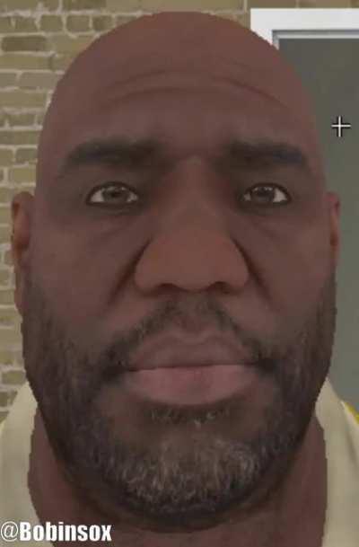 Large order of fries