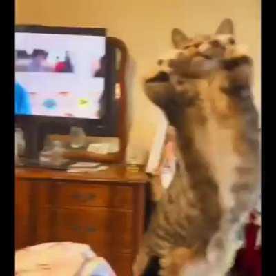 I made this edit after my vasectomy. How did I do?