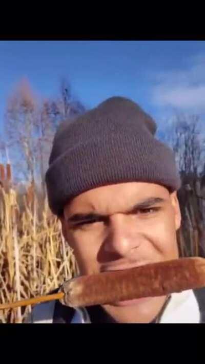 Guy eats a cattail plant