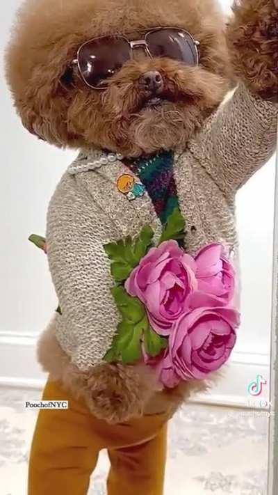 hey there...its Valentine's day weekend, do you have a plan??