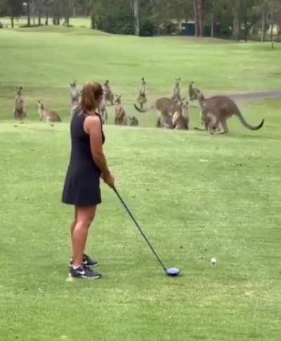 To tee off in Australia