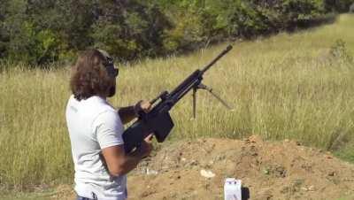 Brandon Herrera is a meme machine