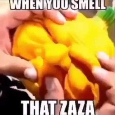 zaza