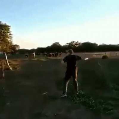 Trying to lasso a bull with no experience