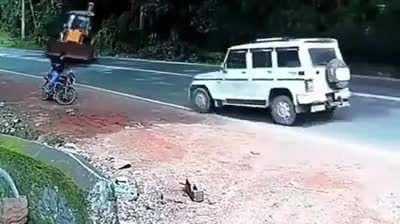 Just chilling on the side of the road