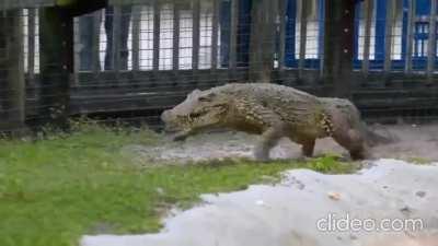 get out of my house, you f*ckin bitch..