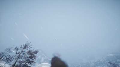 Far Cry 4 Corpse Launch