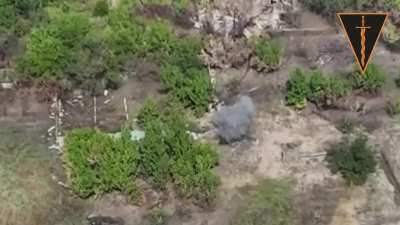 Ukrainian 210th Assault Division destroyed the enemy DRG, which were trying to break through to Zaporizhia. 01.10.2025