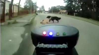 I feel like this would be awesome for trail riding. Man makes an ultrasonic dog repellant for his bike, to stop dogs from attacking him on his route.