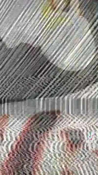 just another normal post don’t mind me