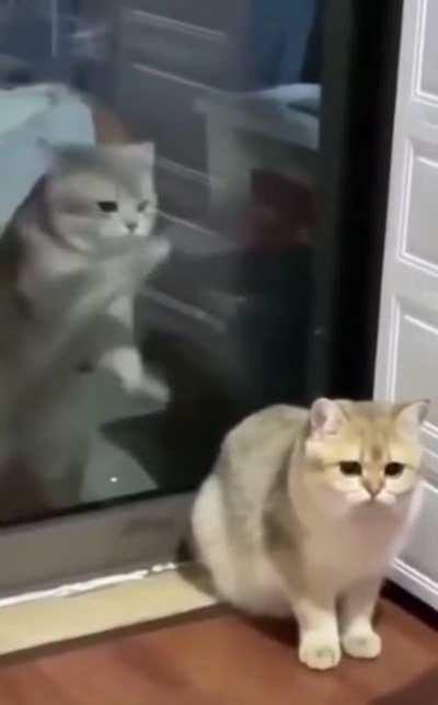 Hidden Background Process