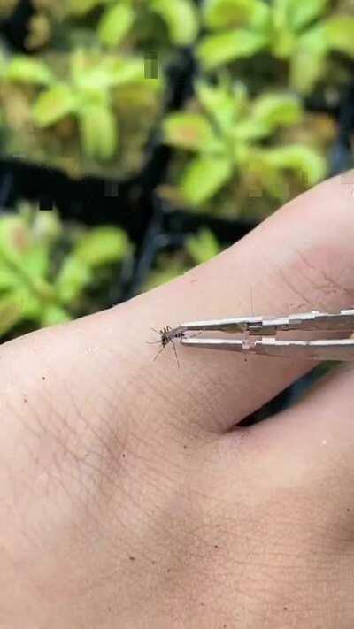 Очень приятное чувство.