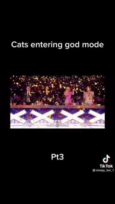 Eyo what the cat doin' (ctto)