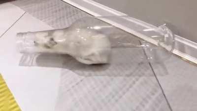 Коты это жидкость