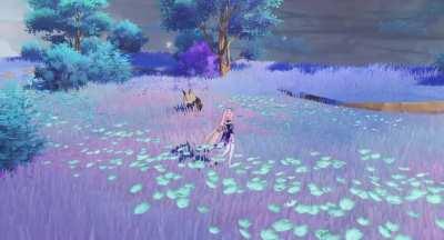 Kokomi gameplay on new Island