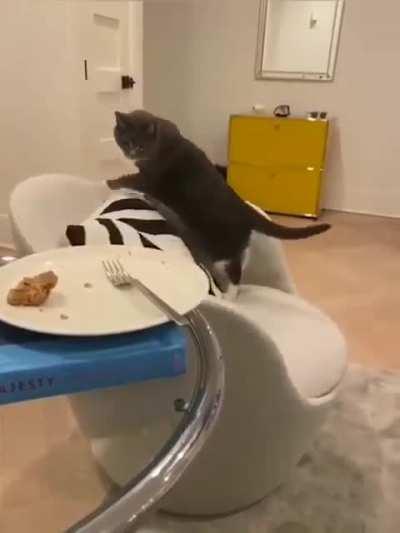 Да твою жеш!