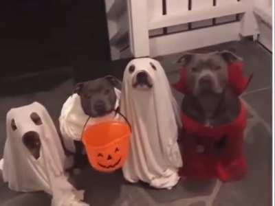 Give them all the candy!!!