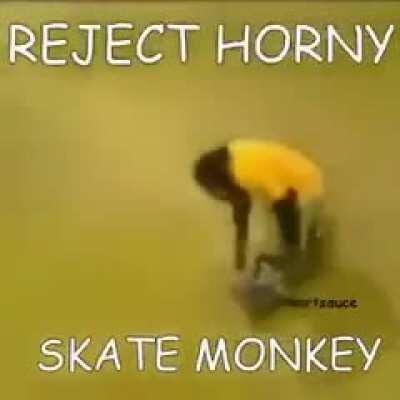 Monkey