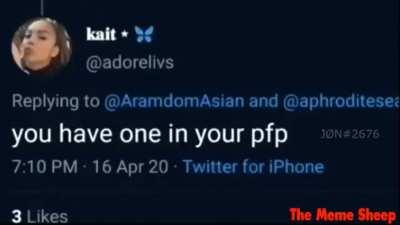 Can anyone tell me the song (The Meme Sheep)