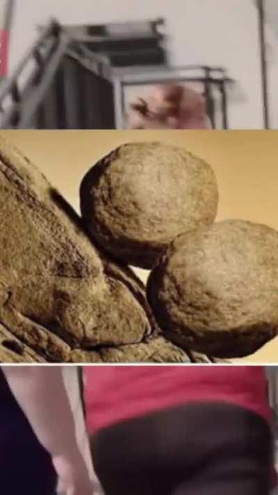 obesius has been punished 