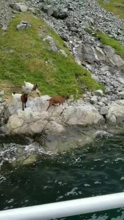 A small video I took during our vacation to Norway. Specifically, it was a Fjord tour that left from Bergen.