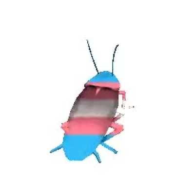 Trans roach for Bröthērs and Sïstërs