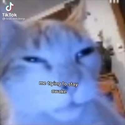 pov: me at math,music