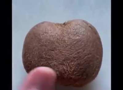 OI DONKEH NOT ME FECKIN NUTS