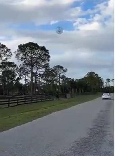 IdiotsNearlyDying. Eeeeeaaaaagggggggllllllleeeeee.