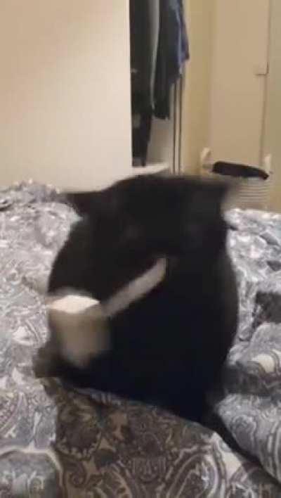CRAZED voId ShoWs hUmaN What wILl HappEn iF fOoD BowL Is Found EmpTy