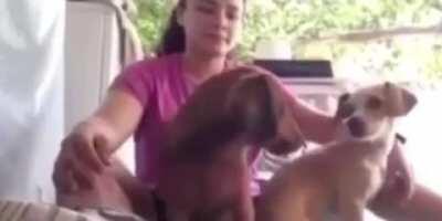 All we need now is a dust cloud and some stars