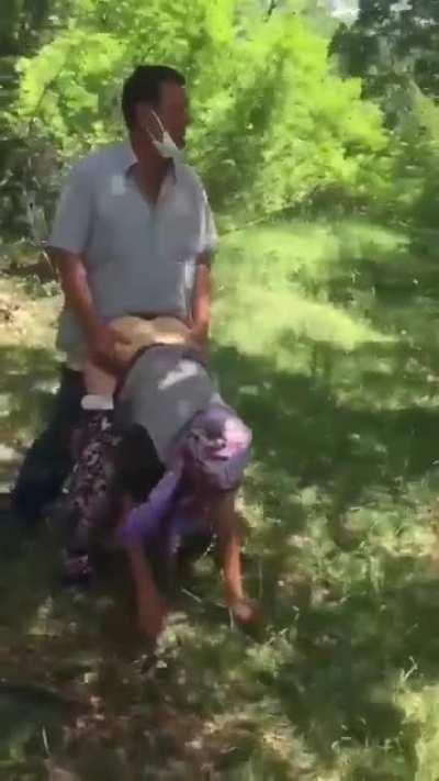 Kozalak toplamak isteyen?