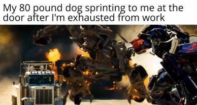 They'll never stop loving you