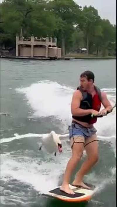 get out of my lake..