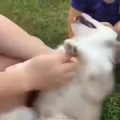 Having a bad day see this Cute little Fella...