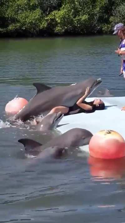 Has nature gone too far?