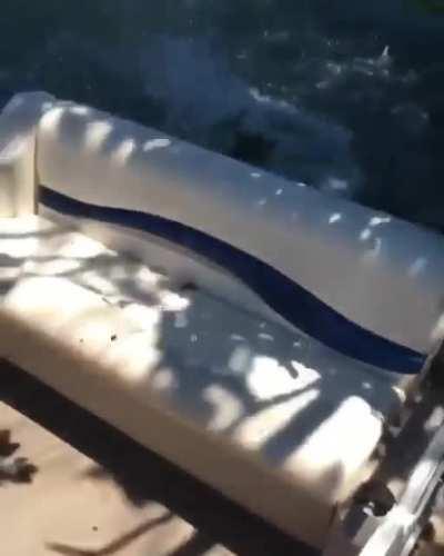 to swing on a branch