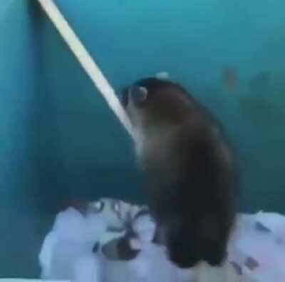 Quero saber o nome da música