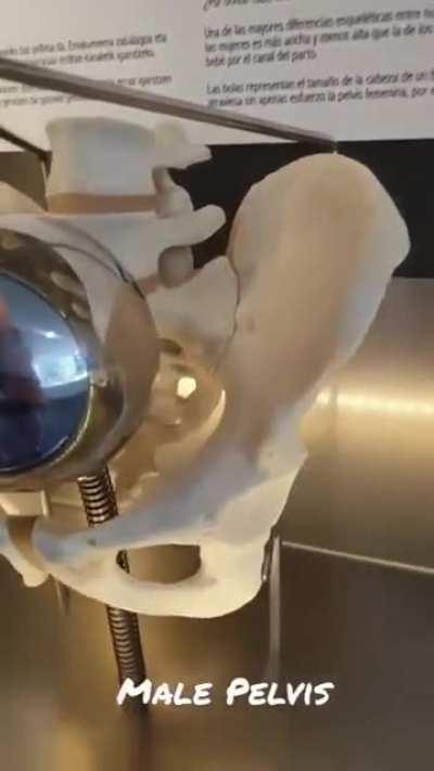 Gender is solid after all