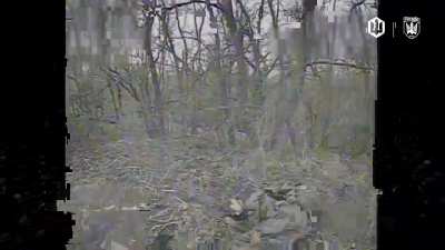 Final moments of russian invaders before elimination by an FPV drone of Ukraine’s 414th UAV Brigade 