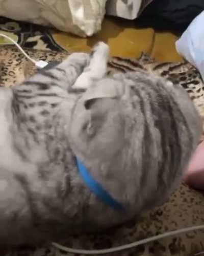 hпривет добрый день я хотел бы знать, 😎