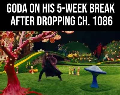 What a week it's been