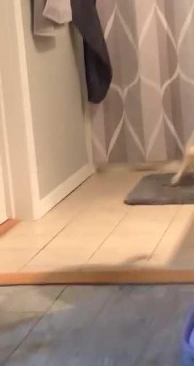 This is why I had to start hanging my towels higher 🤣