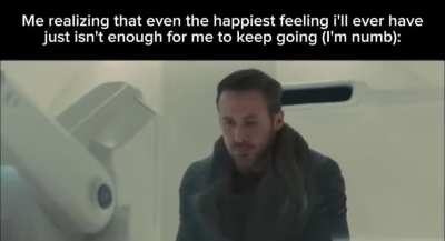 real (it is what it is)