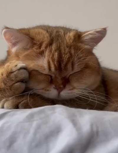 It has made me sleepy too