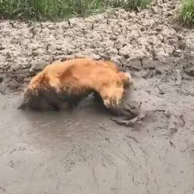 How does one even begin to clean this