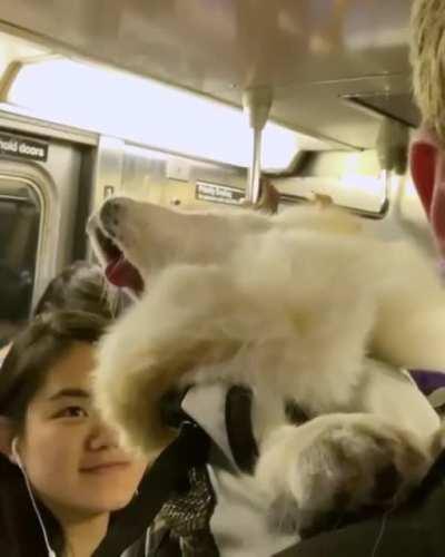 Napping on the subway