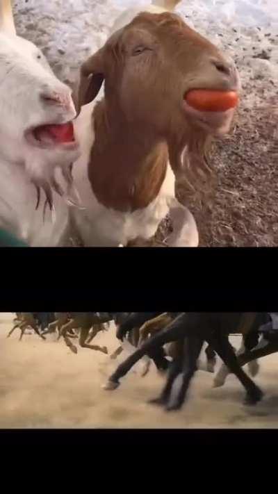 Gets me every time 😥